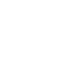 Coach Icon